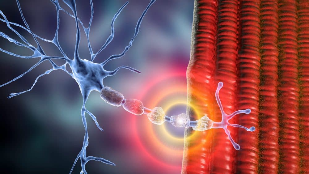 Long COVID: Neuropathies