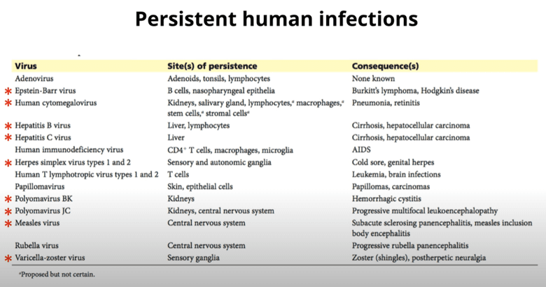Persistent Viruses